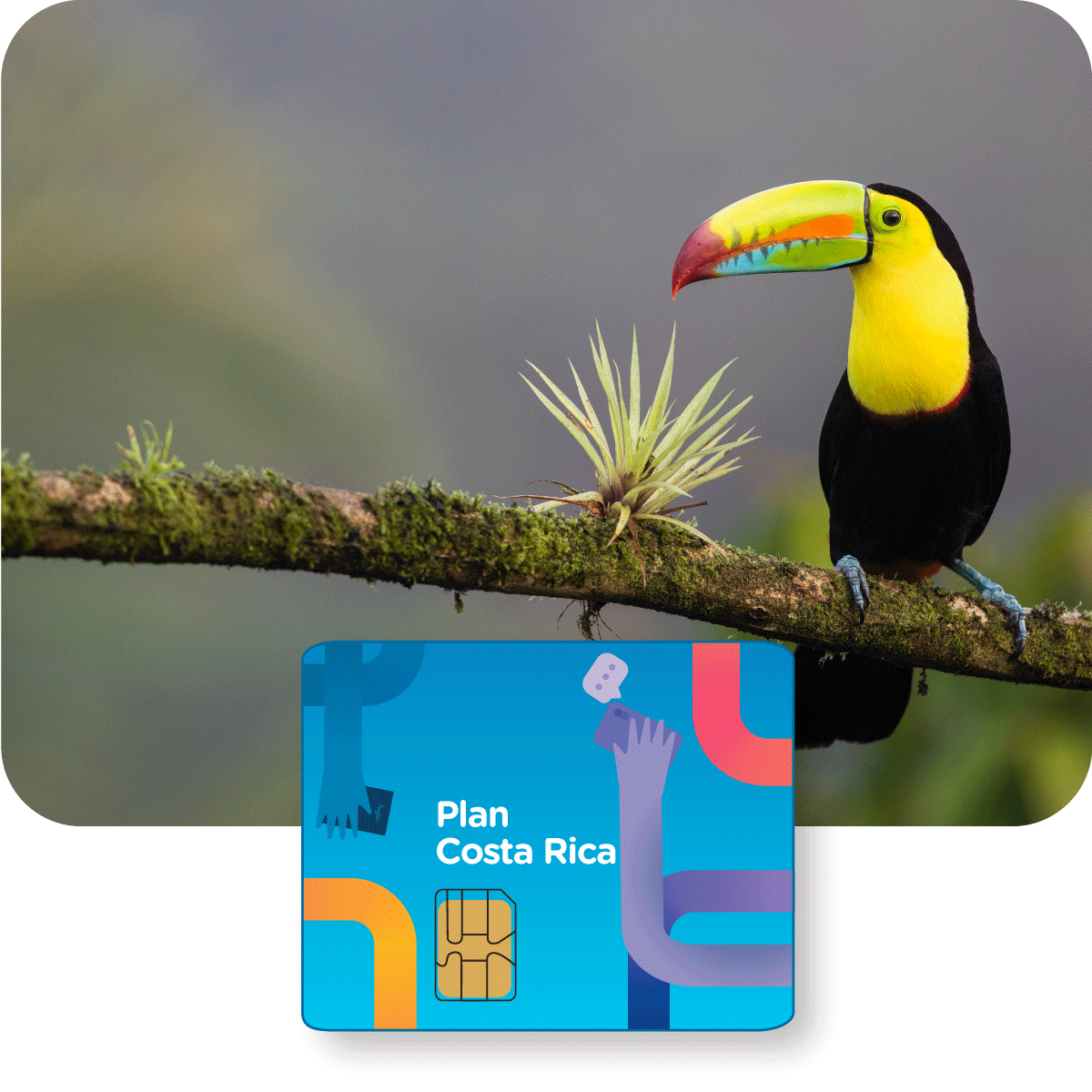 Costa Rica